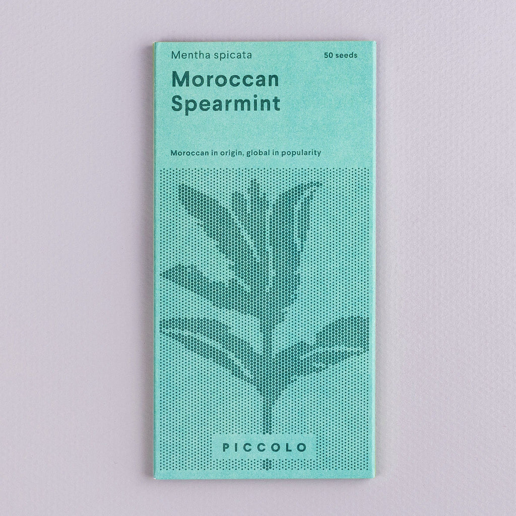 Moroccan Spearmint Pflanzensamen